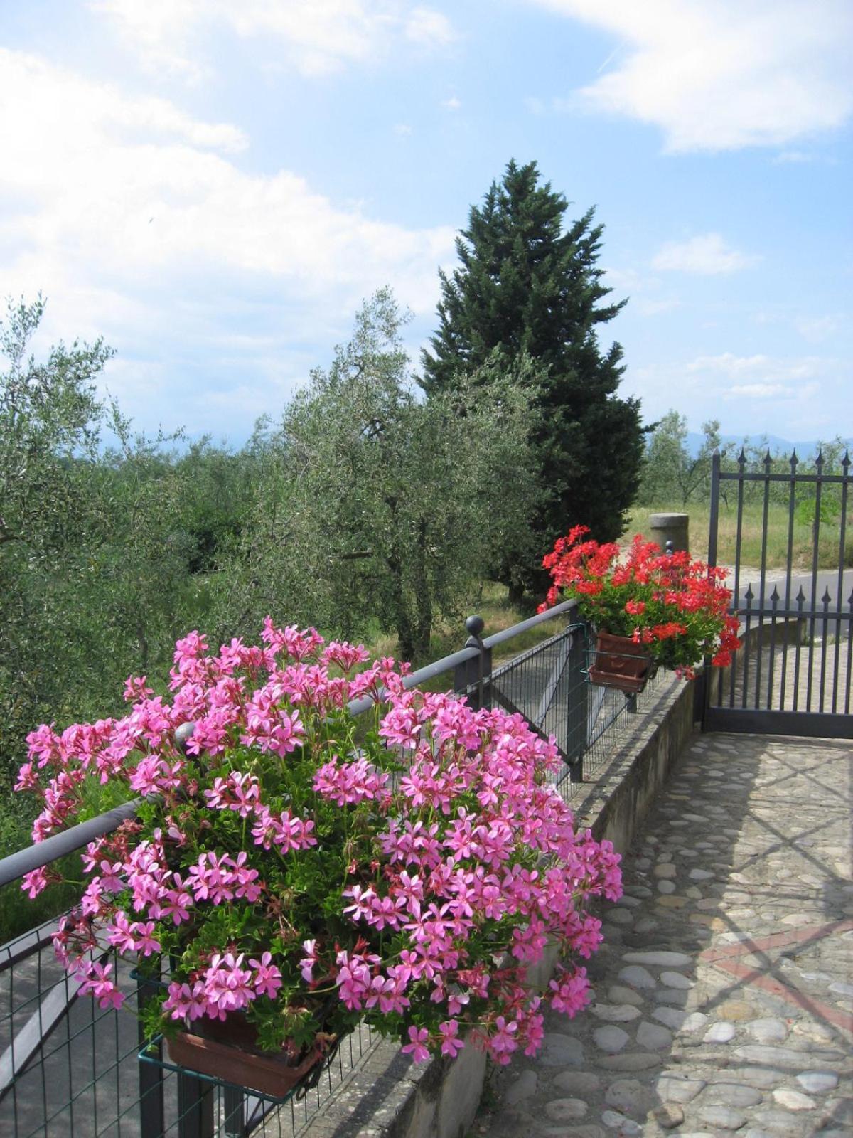 Agriturismo Villani Poderi Nesti & Cupoli Lastra a Signa Exterior foto