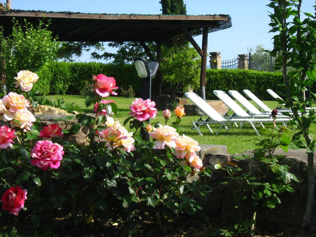 Agriturismo Villani Poderi Nesti & Cupoli Lastra a Signa Exterior foto